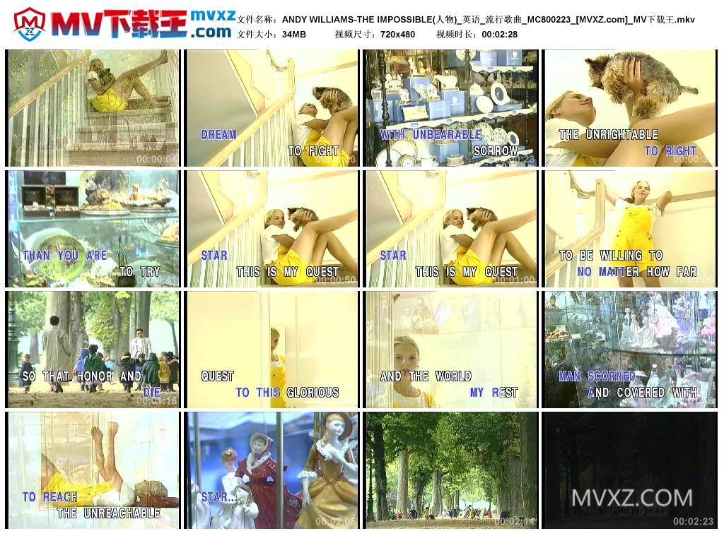 ANDY WILLIAMS-THE IMPOSSIBLE(人物)_英语_流行歌曲_MC800223